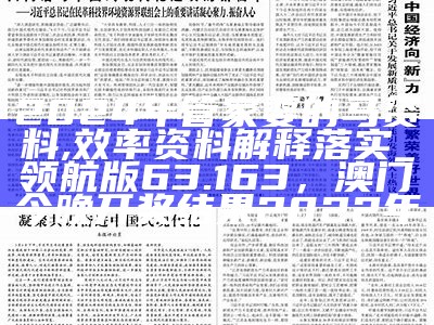 2024年管家婆的马资料,效率资料解释落实_领航版63.163，澳门今晚开奖结果2022年