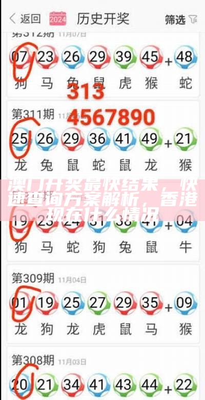 澳门今期开奖结果查询，策略分析详细解读，4949澳门免费大全资料